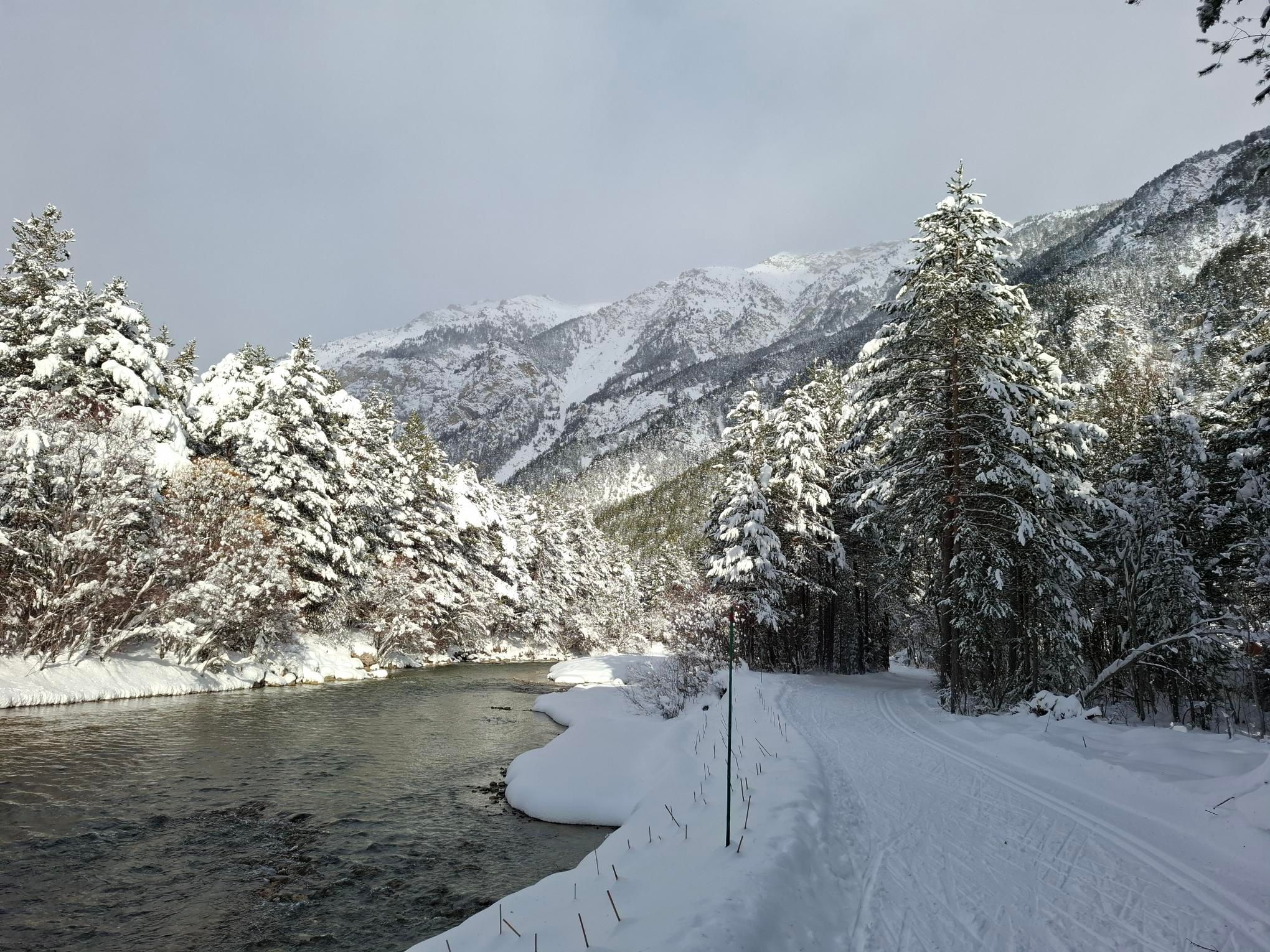 Récap — janvier 2026